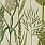 Green Wallpaper WP30164