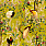 Green Wallpaper WP20465