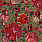 Red Wallpaper WP20552