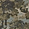 Brown & Beige Wallpaper TR70106