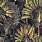 Green Wallpaper WP20526
