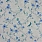 Multi Colour Wallpaper W7145-03