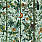 Green Wallpaper WP20528