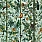Green Wallpaper WP20528