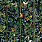 Green Wallpaper WP20527