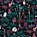 Multi Colour Wallpaper WW-XD-WP