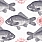 Grey Wallpaper WP20008