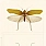 Multi Colour Wallpaper WP20233