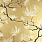 Gold Wallpaper WS70115
