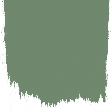 Herbarium  no 174  perfect paint 