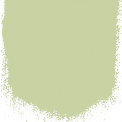 Thé vert  no 108  perfect 
