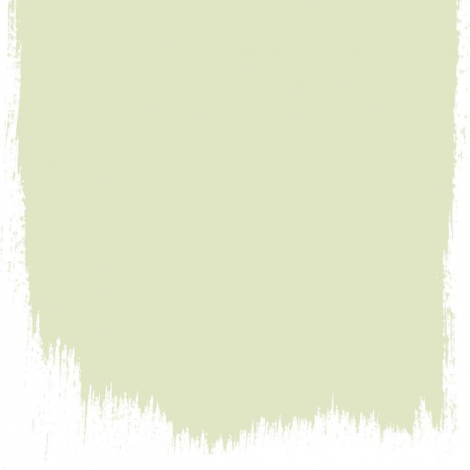 Artichoke  no 104  perfect paint 