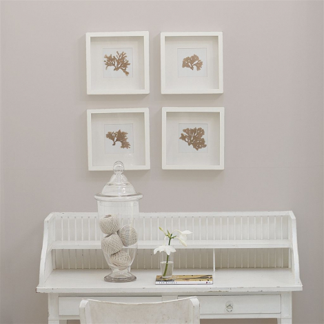 Poivre blanc  no 26  perfect paint 