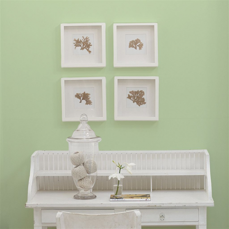 Peppermint cream  no 97  perfect paint 
