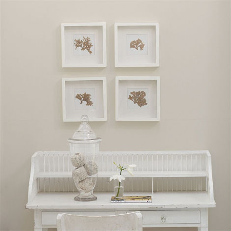 Silver birch  no 13  perfect paint 
