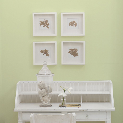 Williams pear  no 111  perfect paint 