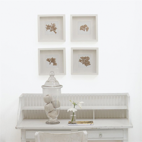 Whitewash  no 2  perfect paint 