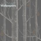 Woods and Pears - Grey Wallpaper