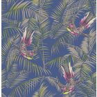 Sunbird - Aqua & Blue Wallpaper
