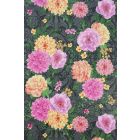 Duchess Garden - Multi Colour Wallpaper