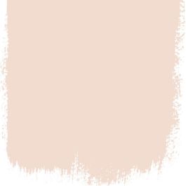 Pink salt no 160 perfect paint - Paints