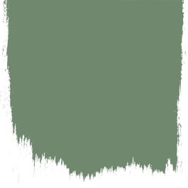 Herbarium no 174 perfect paint