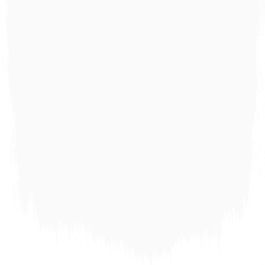 Pure white no 1 perfect paint 1 - Paints
