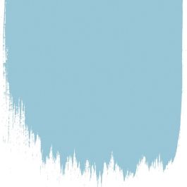 Jay's feather no 67 perfect paint