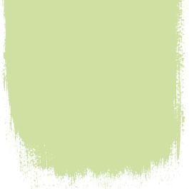 Green melon no 102 perfect paint - Paints