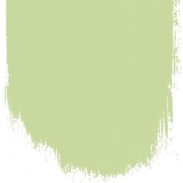 Cardamon pod no 103 perfect paint