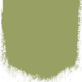 Asparagus fern  no 94  perfect paint 