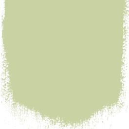 Thé vert no 108 perfect