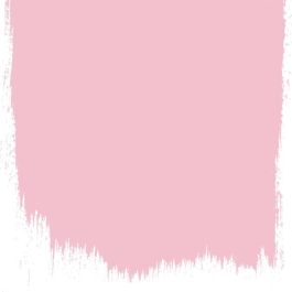 Dianthus pink no 132 perfect paint - Paints