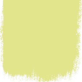 Alchemilla no 112 perfect paint