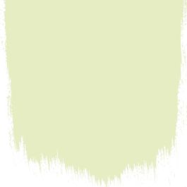 Williams pear no 111 perfect paint - Paints