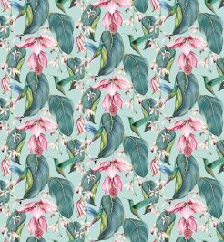 TRAILING ORCHID OUTDOOR - Multi colour