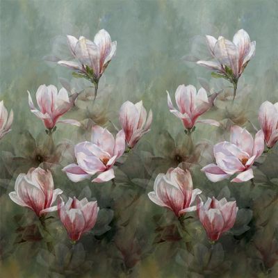 Yulan magnolia