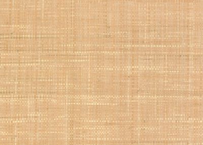 RAFFIA