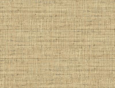SAVANNAH GRASS LS61102-LS61117