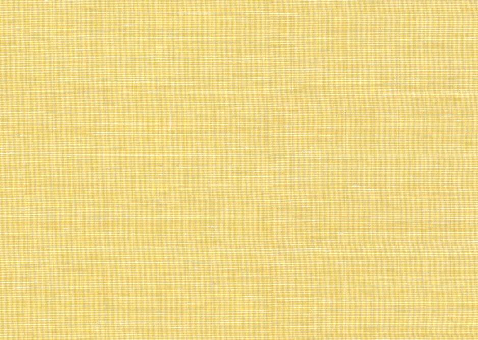 ABACA