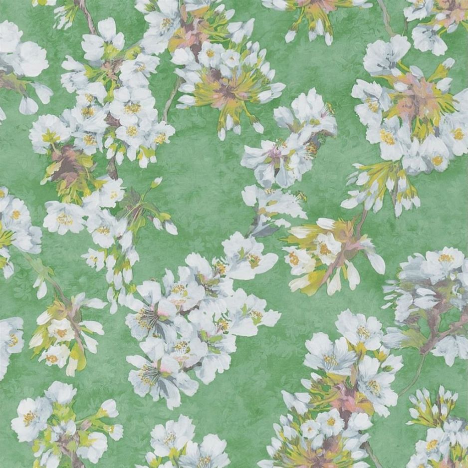 Fleur d assam