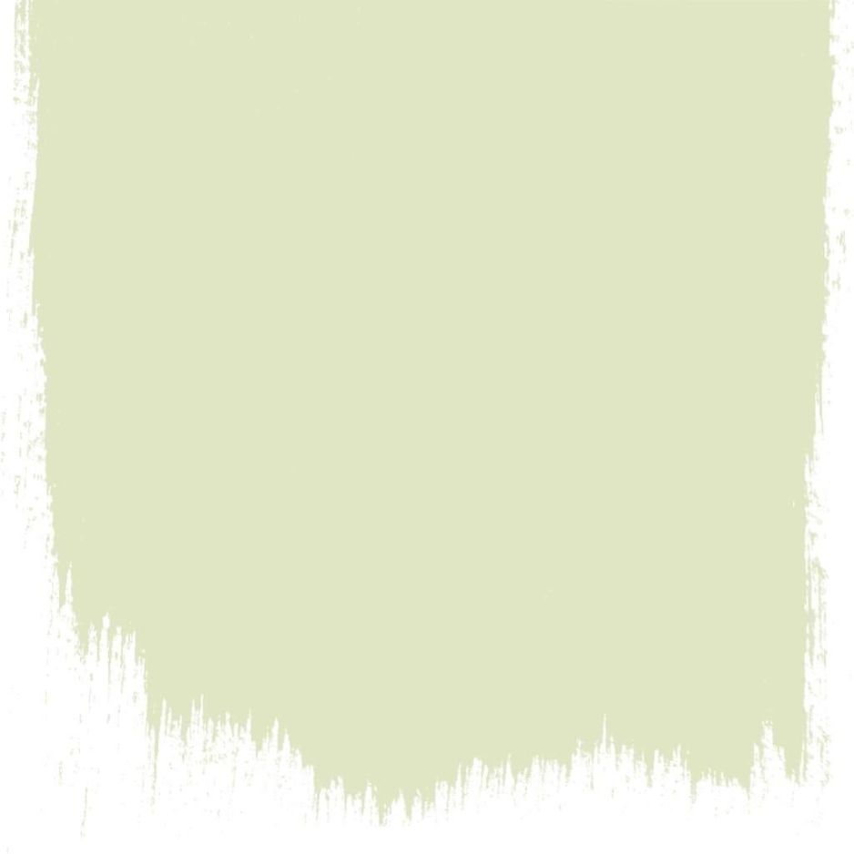 Artichoke  no 104  perfect paint 