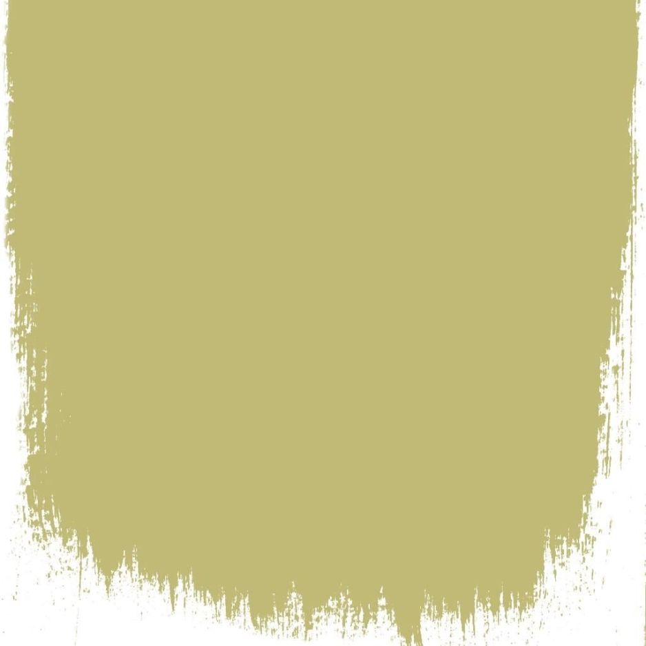 Fenouil  no 110  perfect paint 