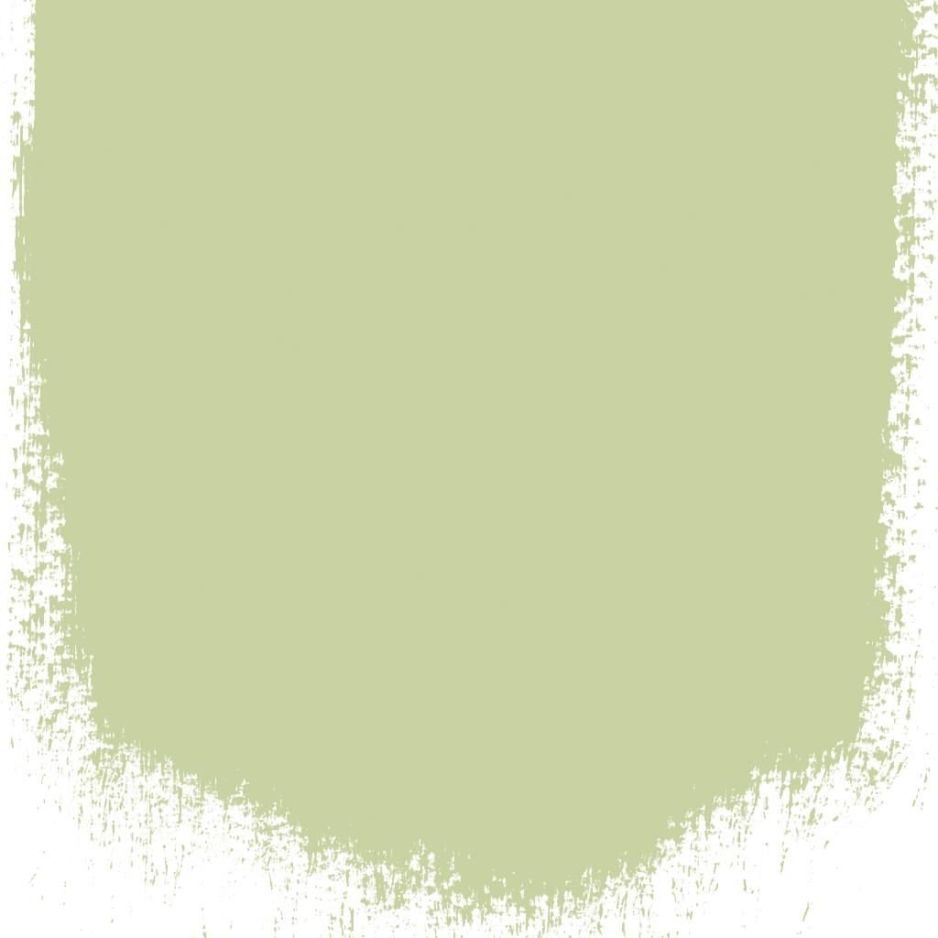 Thé vert  no 108  perfect 