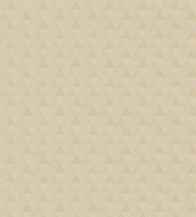 TRIANGLES TROPICALES