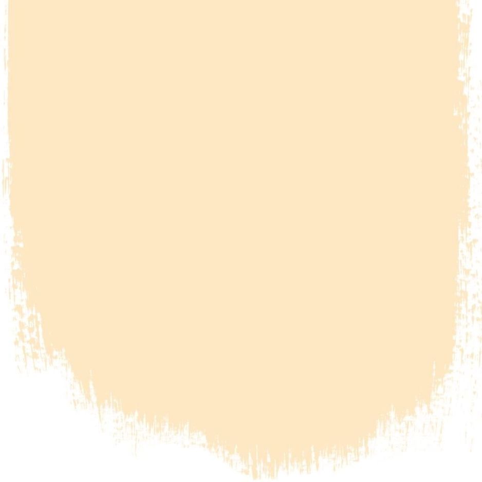 Panettone  no 114  perfect paint 