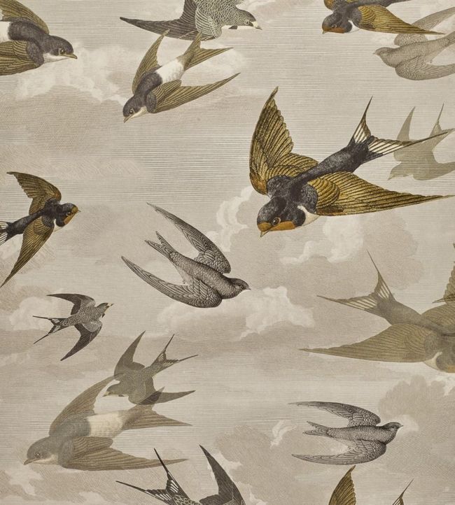 Chimney Swallows