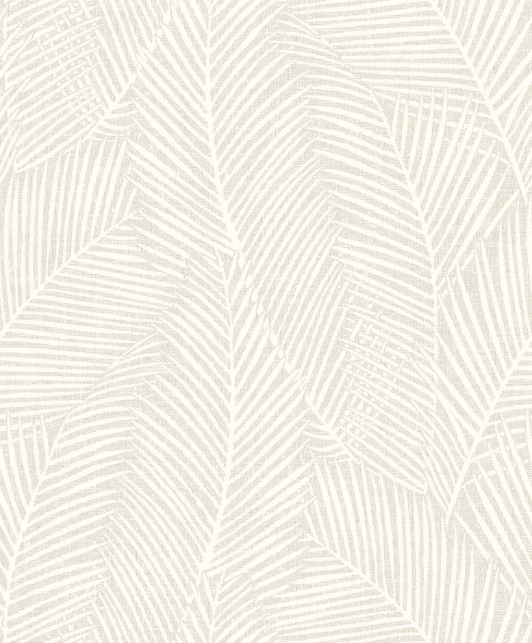 PAMPAS PALM