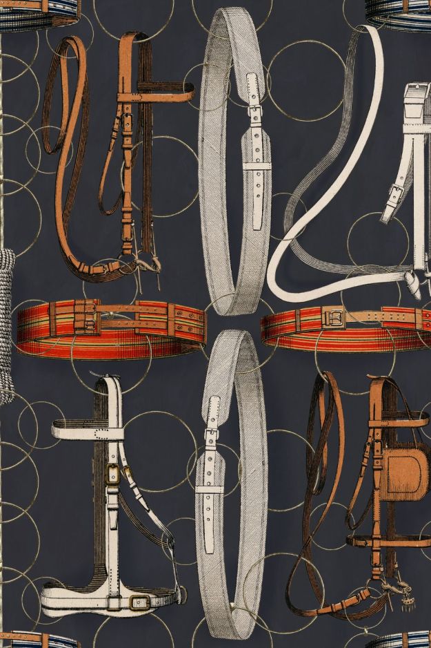 EQUESTRIAN EQUIPMENT