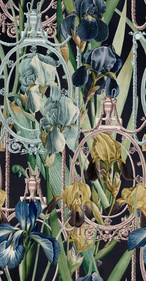 Fleurs D'iris